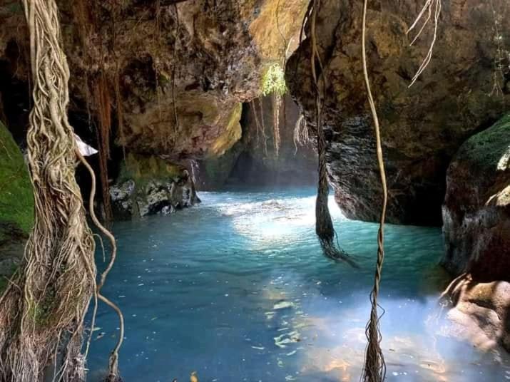 Pochote Lodge Guayabo  المظهر الخارجي الصورة