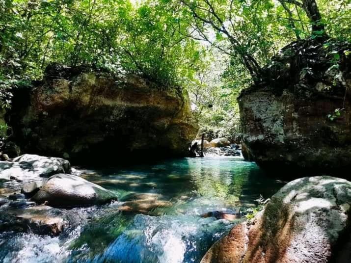 Pochote Lodge Guayabo  المظهر الخارجي الصورة