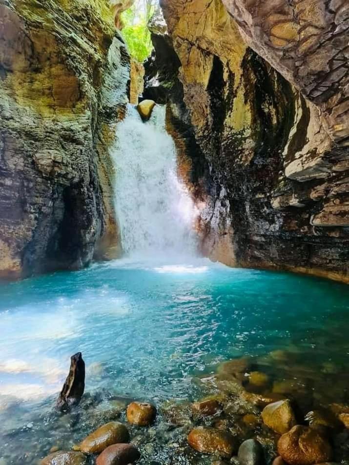 Pochote Lodge Guayabo  المظهر الخارجي الصورة