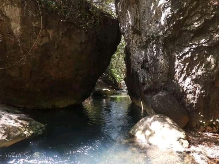Pochote Lodge Guayabo  المظهر الخارجي الصورة