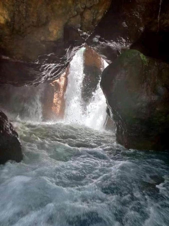 Pochote Lodge Guayabo  المظهر الخارجي الصورة