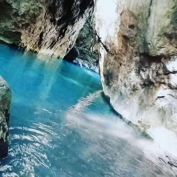 Pochote Lodge Guayabo  المظهر الخارجي الصورة
