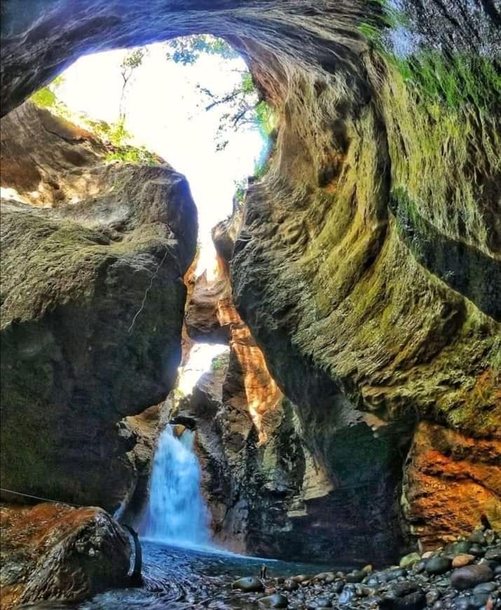 Pochote Lodge Guayabo  المظهر الخارجي الصورة