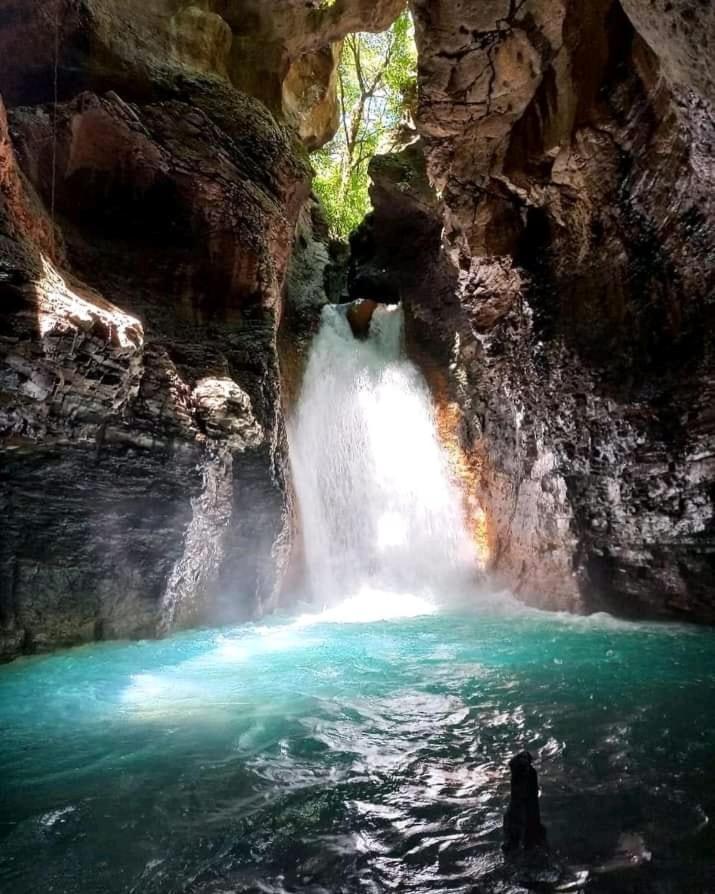 Pochote Lodge Guayabo  المظهر الخارجي الصورة