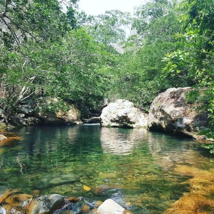 Pochote Lodge Guayabo  المظهر الخارجي الصورة