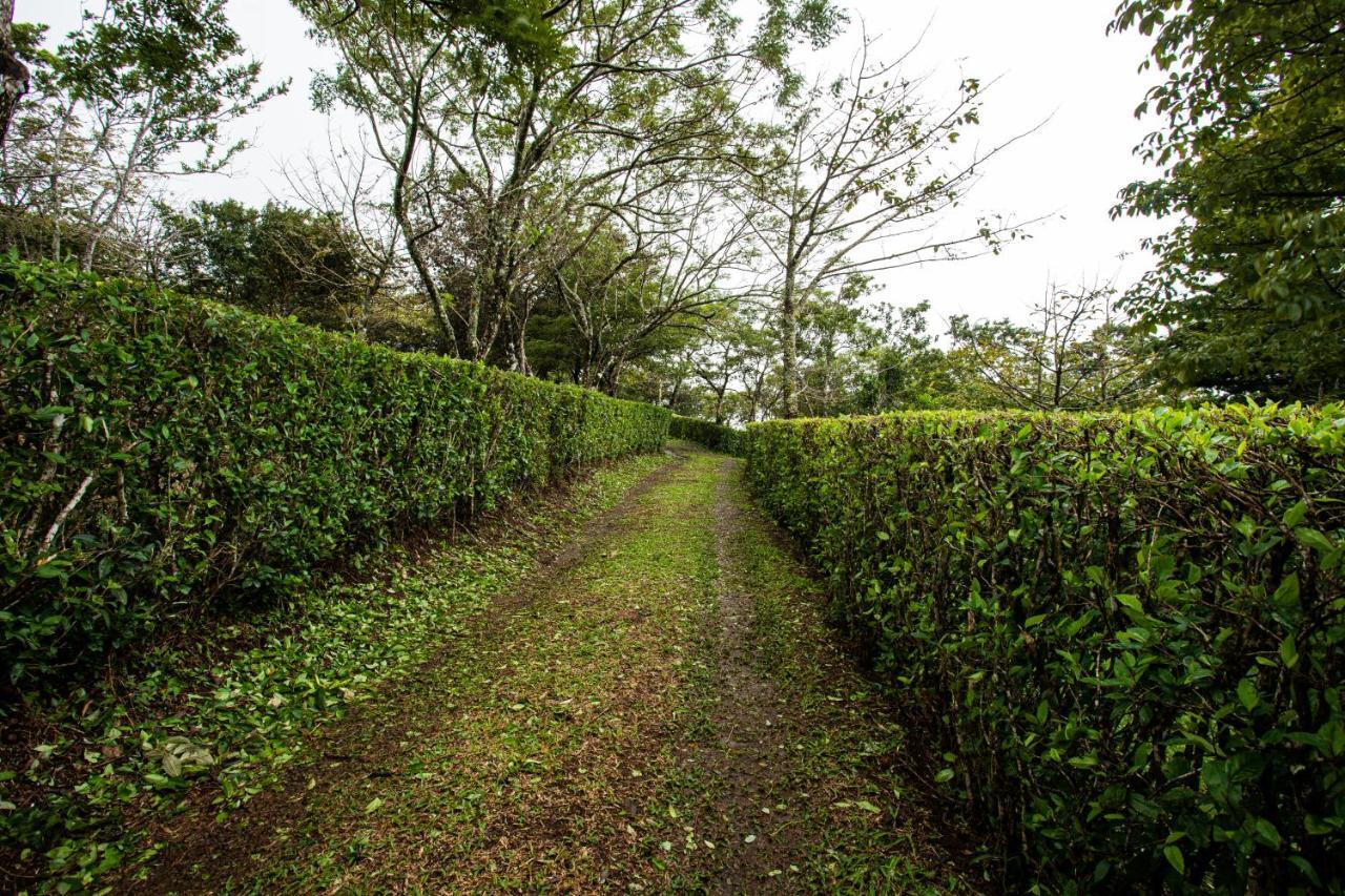 Pochote Lodge Guayabo  المظهر الخارجي الصورة